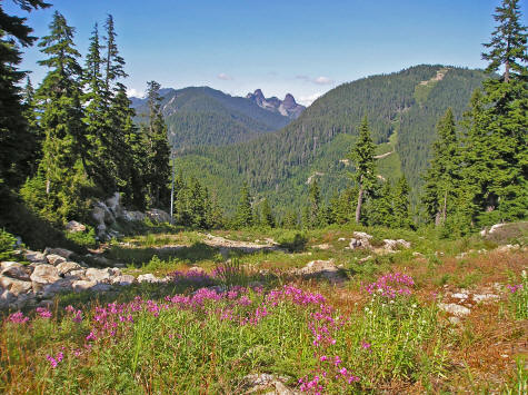 Baden Powell Trail near Vancouver Canada