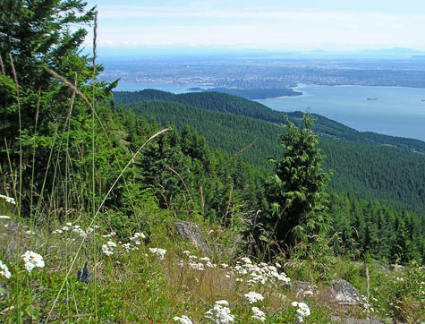 View of Vancouver from the Baden Powell Trail