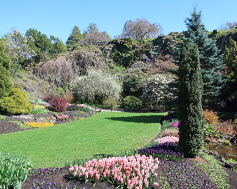 QE Park in Vancouver Canada